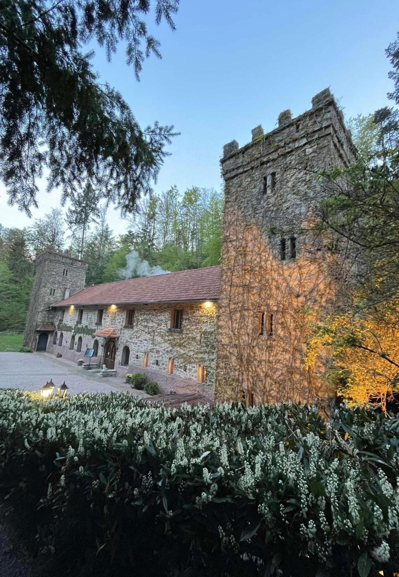 Le Chateau Du Landsberg Barr Eksteriør billede