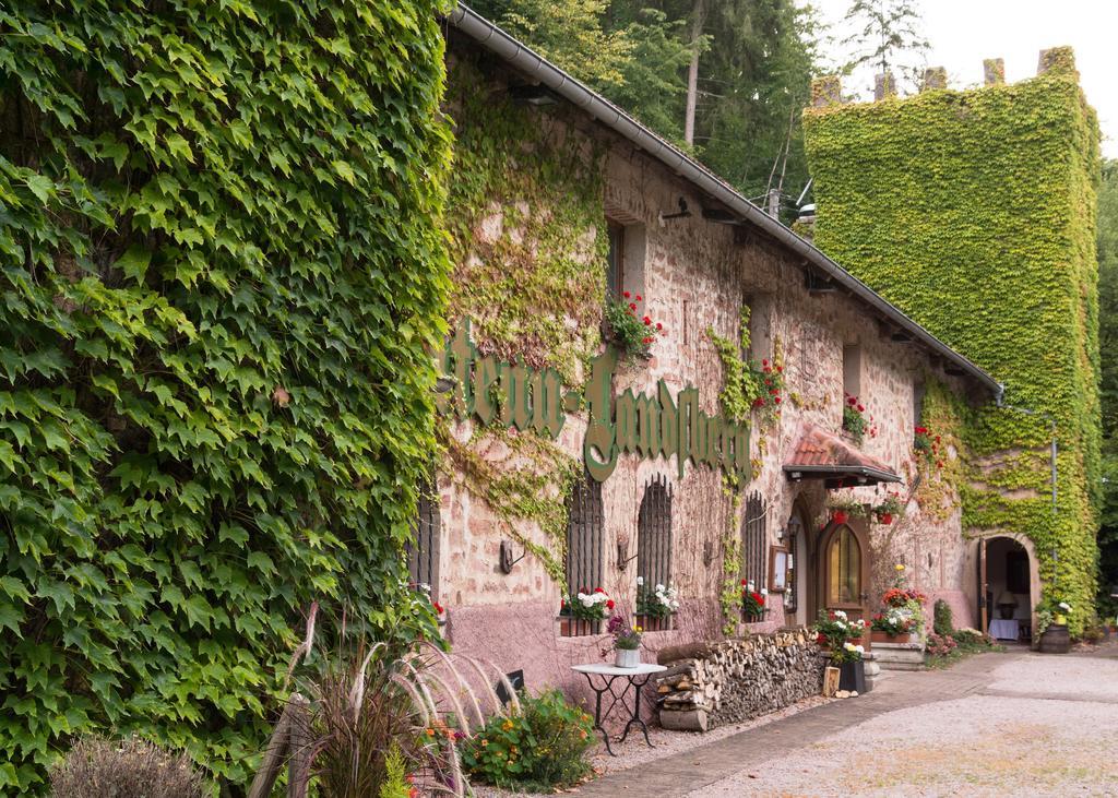 Le Chateau Du Landsberg Barr Eksteriør billede